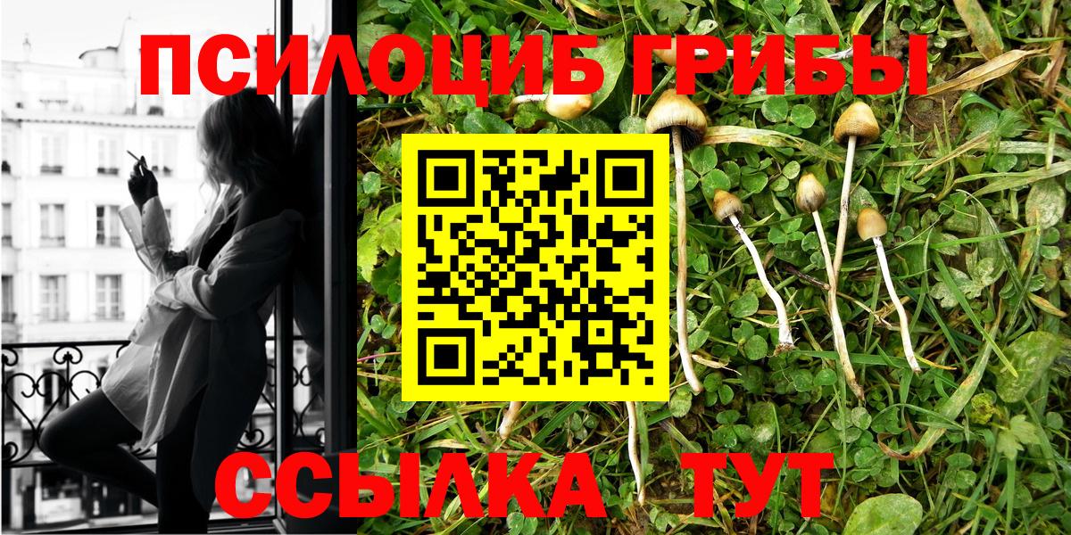 Галлюциногенные грибы мицелий Рубцовск
